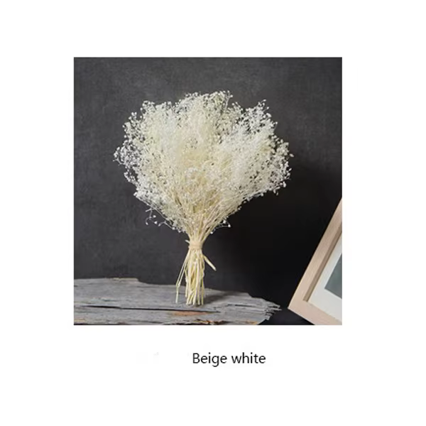 Fleur naturelle fraîche conservée pour bébé, fleurs séchées immortelles, cadeau pour fête de mariage