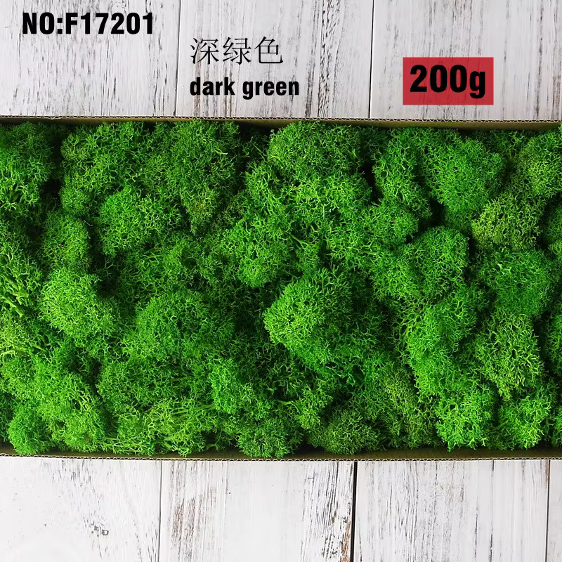 Mousse naturelle verte plante artificielle 200g, fond de scène de jardin de maison conservé durable,