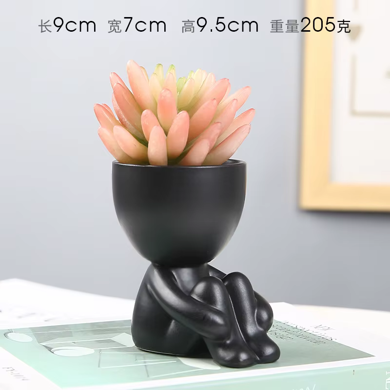 Pot de fleurs succulentes nordique, ornement créatif en céramique, artisanat de décoration, Pot de p