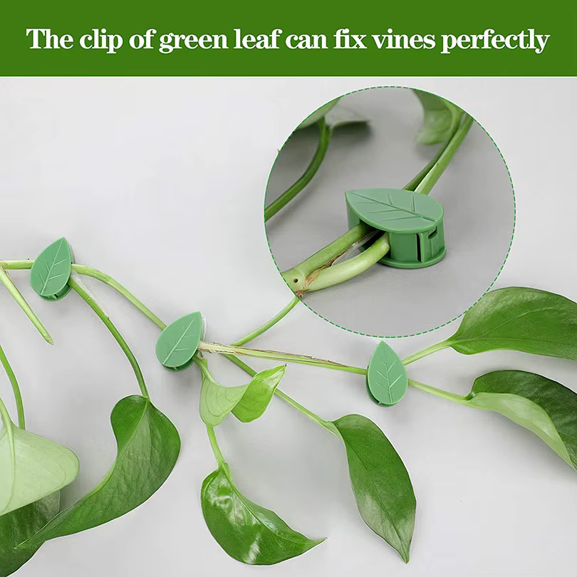 Clips muraux invisibles pour plantes grimpantes, 10-100x, autocollant acrylique, crochet auto-adhési