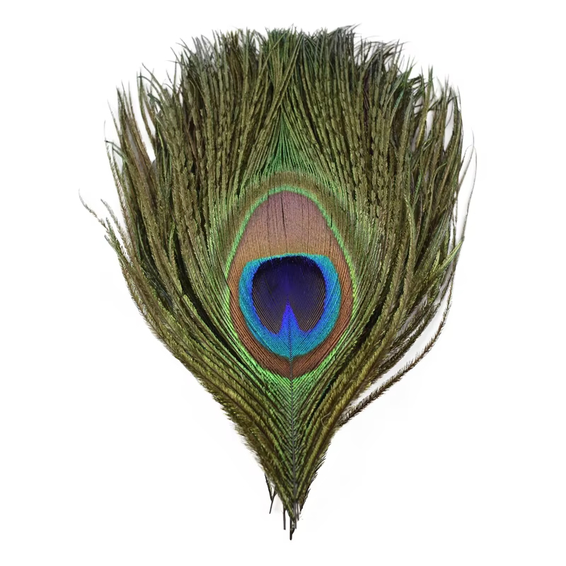 Plumes de paon naturelles, œil pour la fabrication de bijoux, artisanat de mariage, accessoires attr