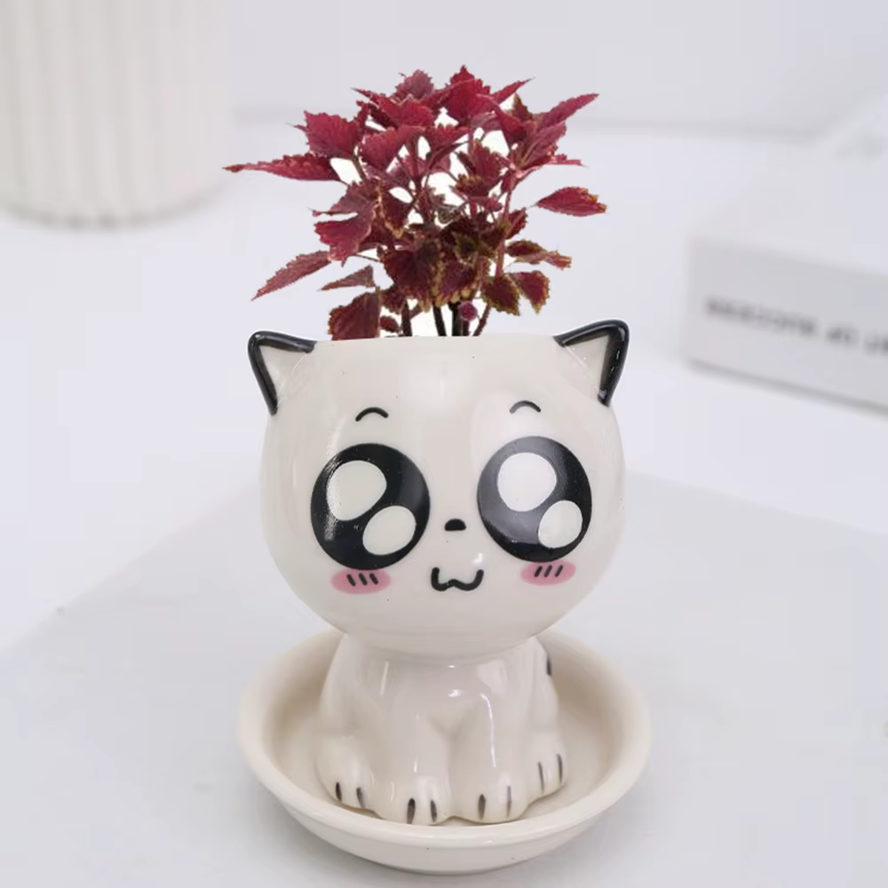 Mini Pot de Fleurs en Céramique en Forme de Chat, Plante en Pot de Dessin Animé Mignon, Expression d