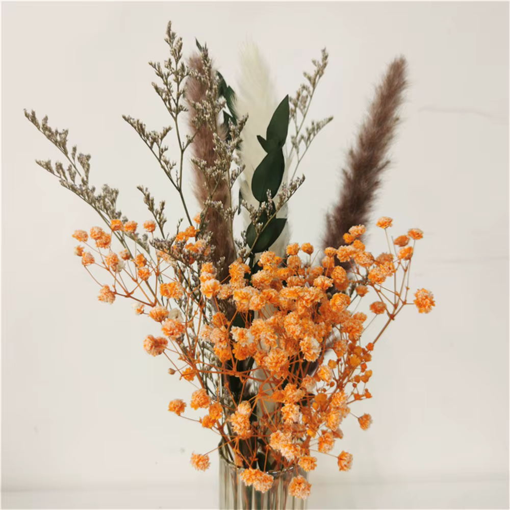 1 ensemble de fleurs séchées, herbe de Pampa naturelle, décoration de maison, Bouquet de mariage, pl