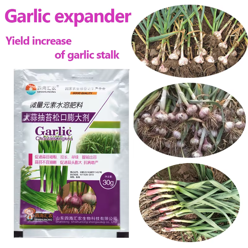 Tige d'ail et légumes, favorise l'allongation, grossissement, gonflement, élément de Trace, engrais 