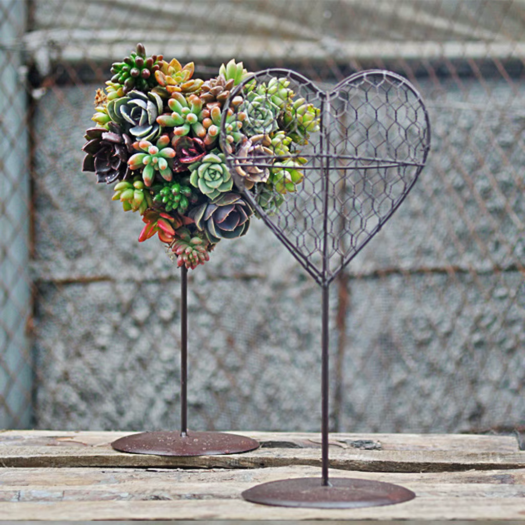 Support en forme de cœur en fil de fer, jardinière debout pour pot succulent, porte-plante, 17cm