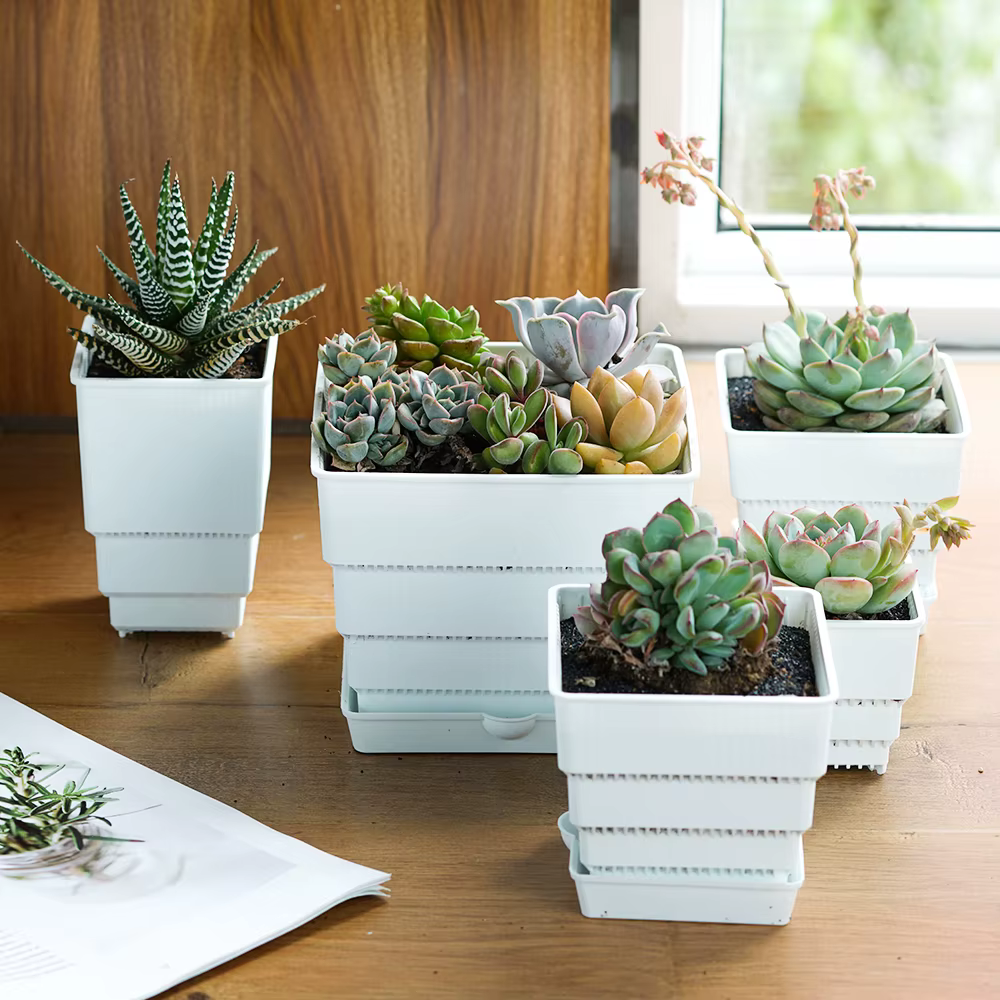 Pot en maille 6cm 7 cm 10 cm 12 cm 15 cm Pots succulents Lithops Jardinière de cactus Pot de fleur e