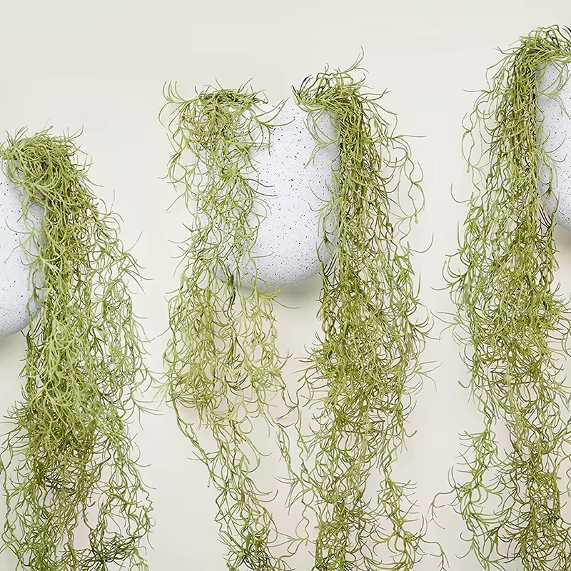 Plante suspendue verte en mousse de vigne artificielle, bandes de moutarde de beauté, décoration mur