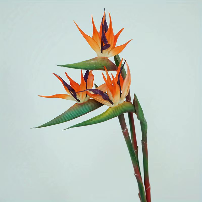 Fleurs artificielles d'oiseau du paradis, 3 pièces, Strelitzia en caoutchouc, fleur à longue tige de