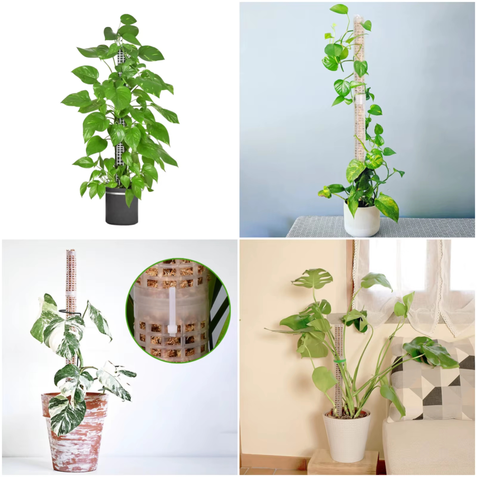 1PC plante escalade treillis empilable maille mousse pôle Monstera plastique filet stéréotypé cocoti