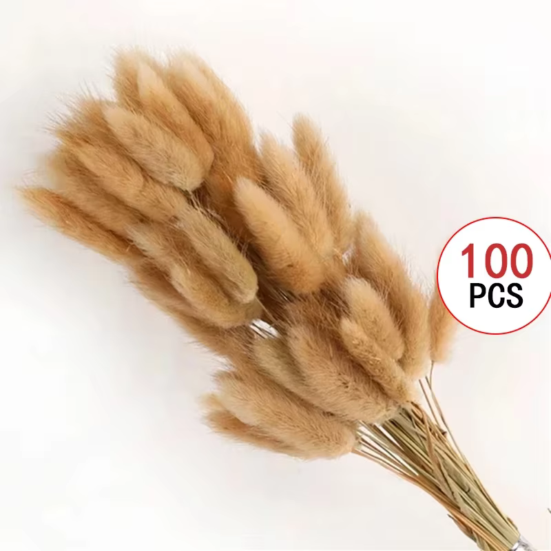 200 pièces Pampas herbe fleurs séchées Boho décoration maison ferme pays salle de mariage Table déco