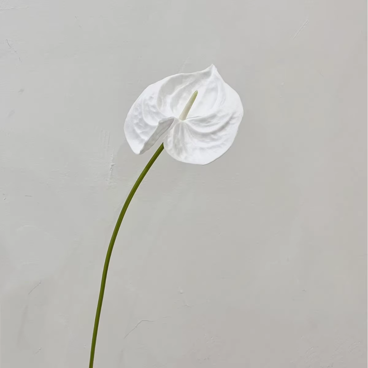Plante artificielle Anthurium Peace Lily de haute qualité de 22,4 pouces pour la décoration murale f