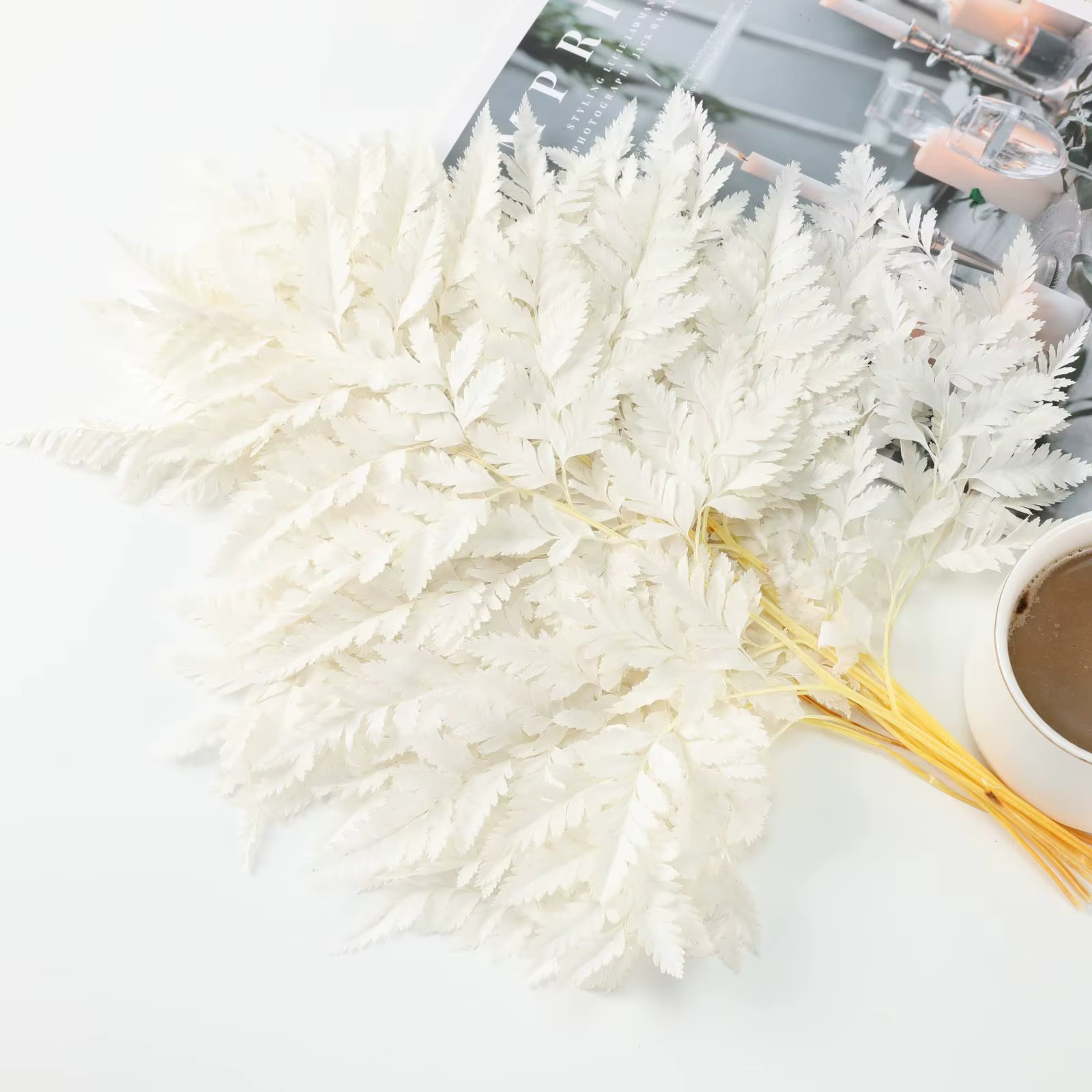 Feuilles de fougère naturelles, 10 pièces, dents de chèvre séchées éternelles, décoration douce pour