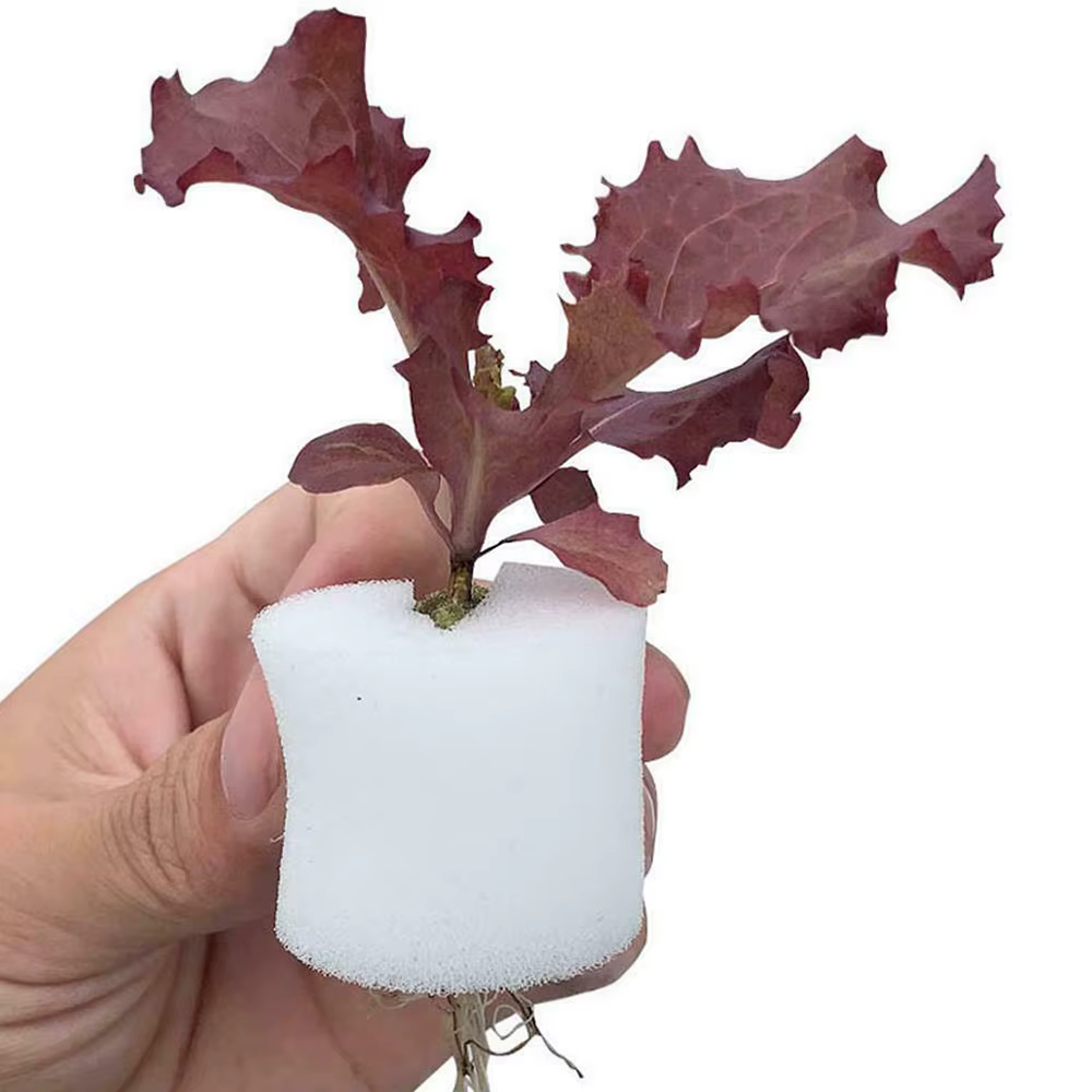 Gobelets en filet pour plantes et 50 cylindres, éponge pour culture hydroponique, orchidées, démarra