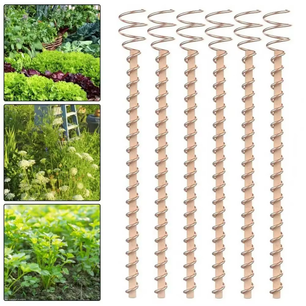 Piquets de plantes d'électro-culture bonsaï en cuivre, fil de bobine en bois, nouvelle bobine de cui