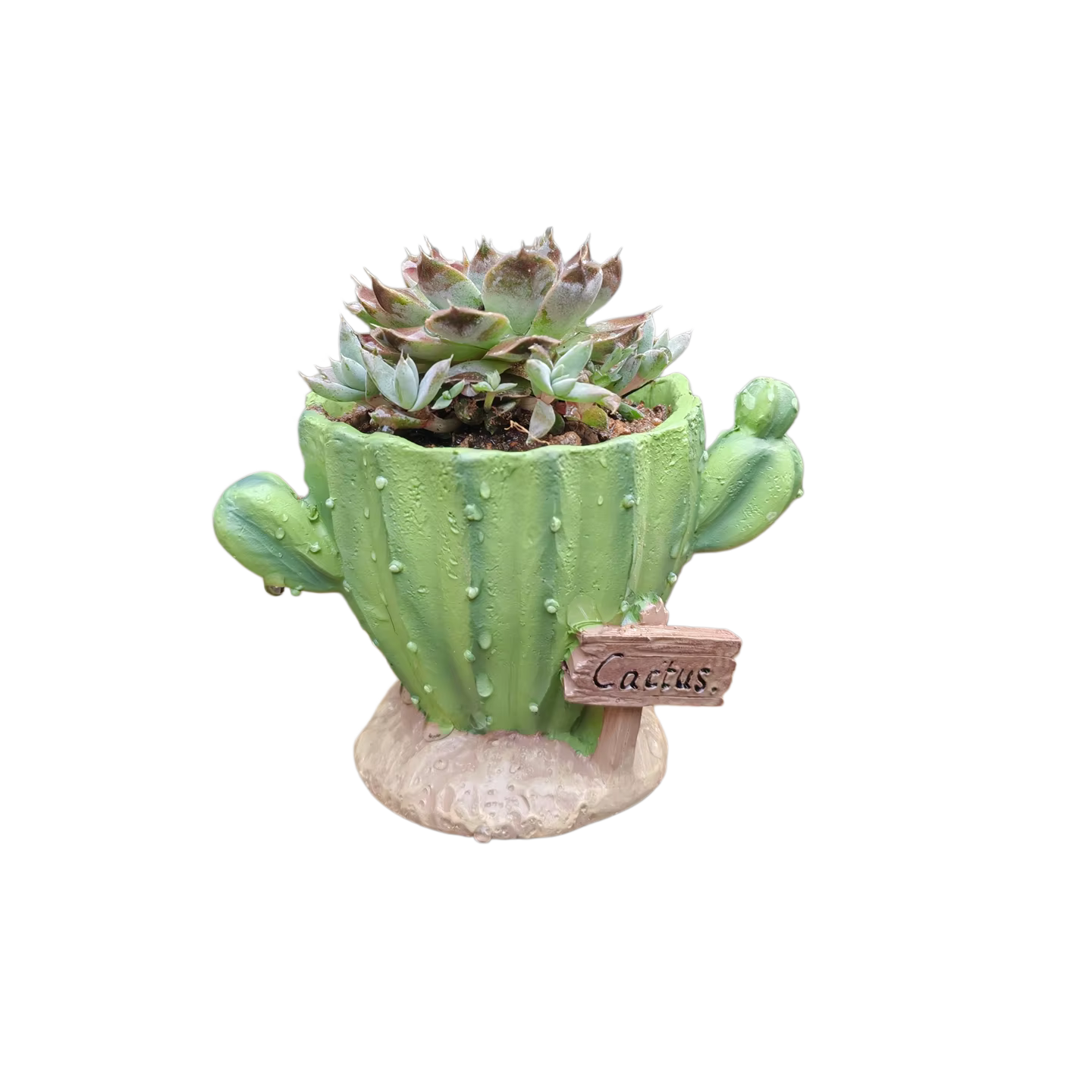 Pot de fleurs pour cactus, mini pot en résine mignon avec trous de drainage, décoration intérieure e