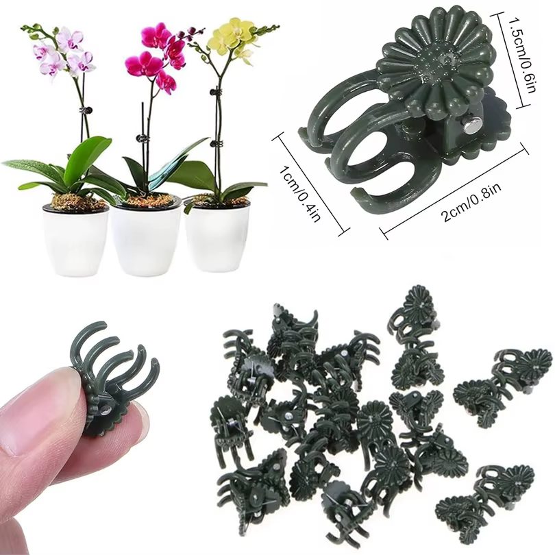 Pinces à plantes vert foncé à 6 griffes, 50/100 pièces, pince de Support de fleurs d'orchidée, fermo