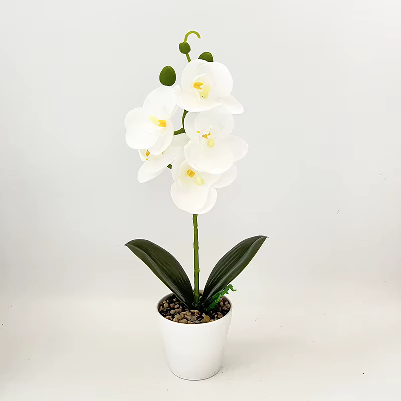 Plante en pot d'orchidée artificielle, 1 pièce, plante verte Phalaenopsis bonsaï, adaptée au jardin,