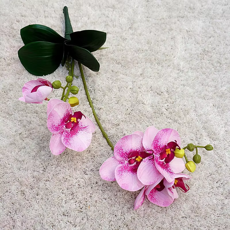 Fleurs artificielles orchidées papillon en plastique, fausse plante verte, fleur de simulation viole