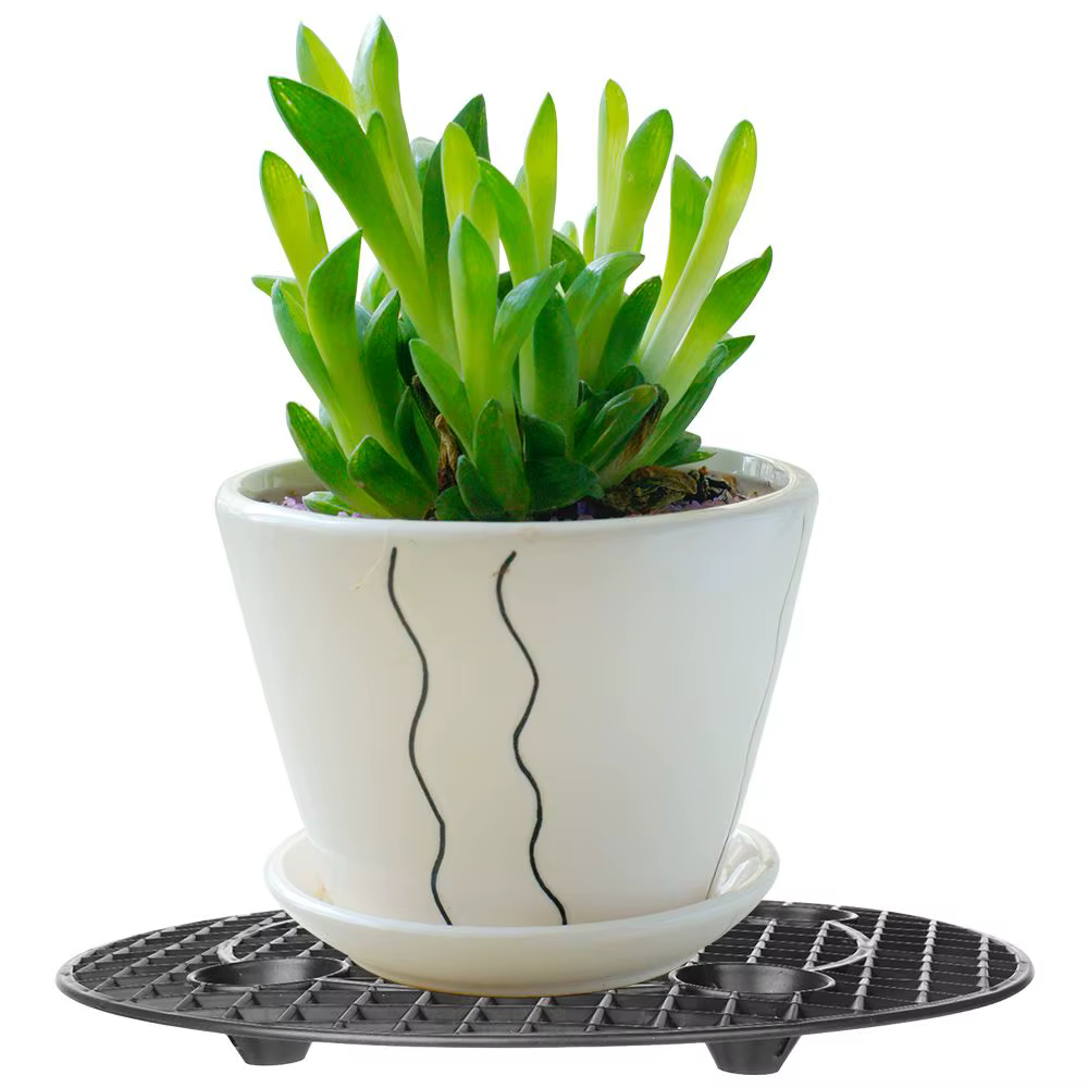 Pot de plante S/05 er, 20/30/40cm, support de plante pour prévenir la pourriture et les dommages sur