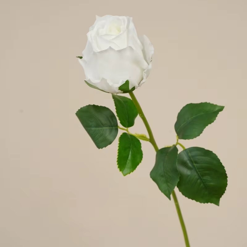 10 pièces de fleurs artificielles blanches au toucher réel, roses crème, pour la décoration des cent