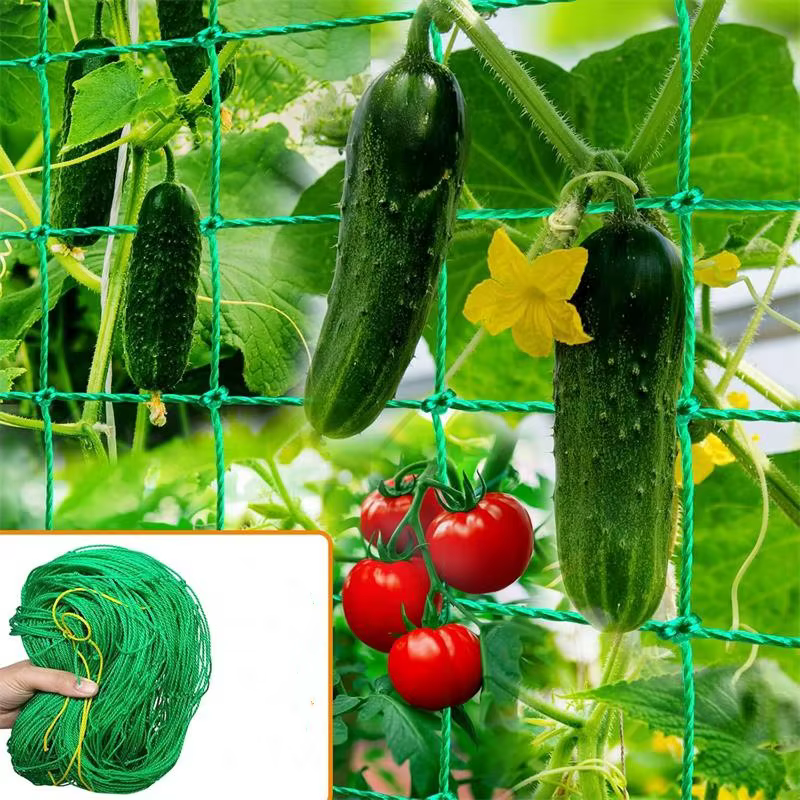 Filet d'escalade pour plantes, légumes, fruits, fleurs, filet en maille solide en Nylon épais pour c