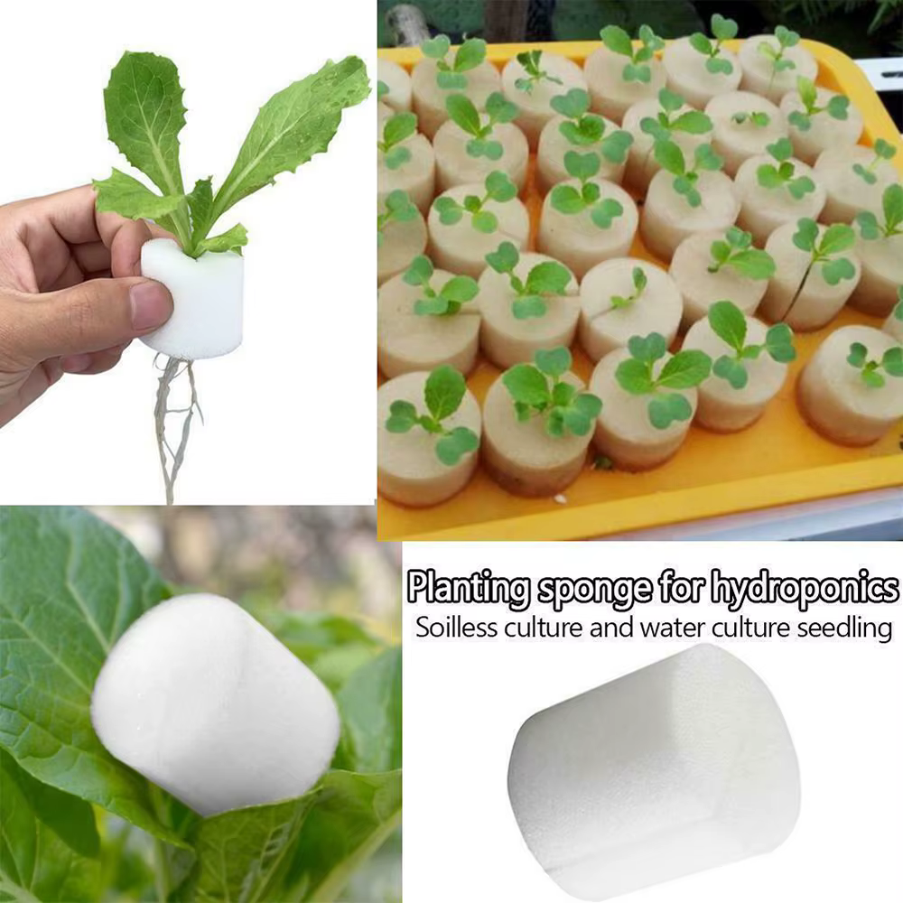 Gobelets en filet pour plantes et 50 cylindres, éponge pour culture hydroponique, orchidées, démarra
