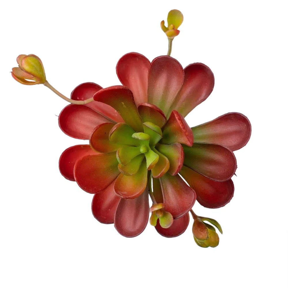 Plante succulente artificielle réaliste au toucher authentique, faux cactus en plastique, simulation