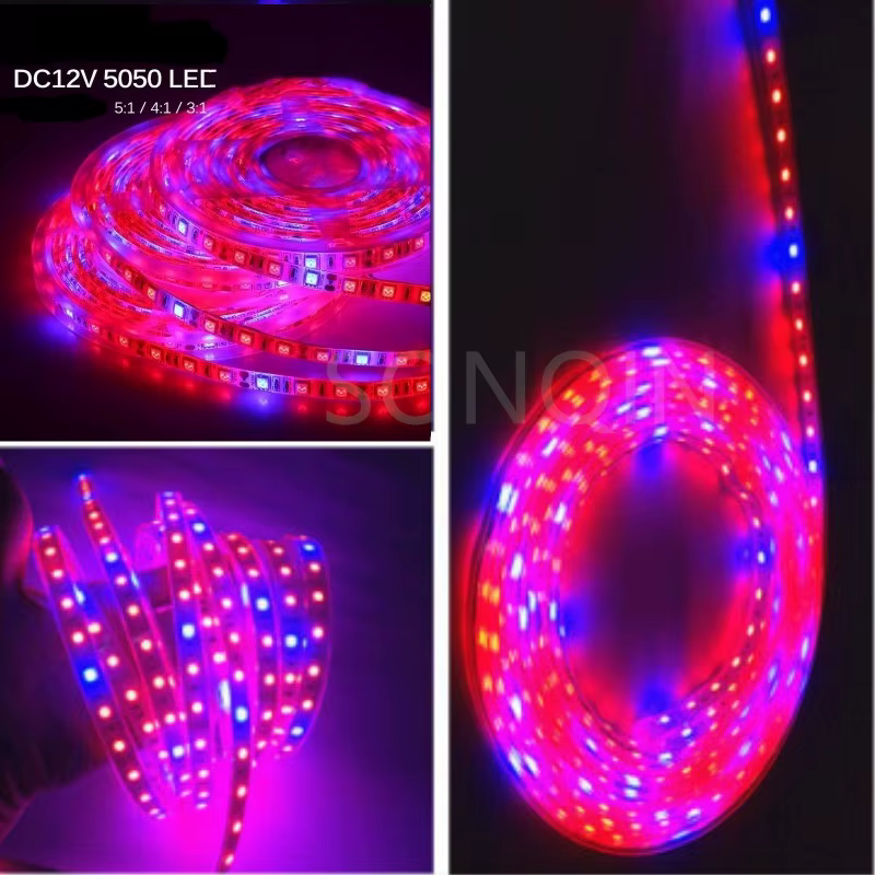 12V Led plante poussent la lumière spectre complet Phyto lampe 1m 2m 3m 5M bande pour graines fleur 