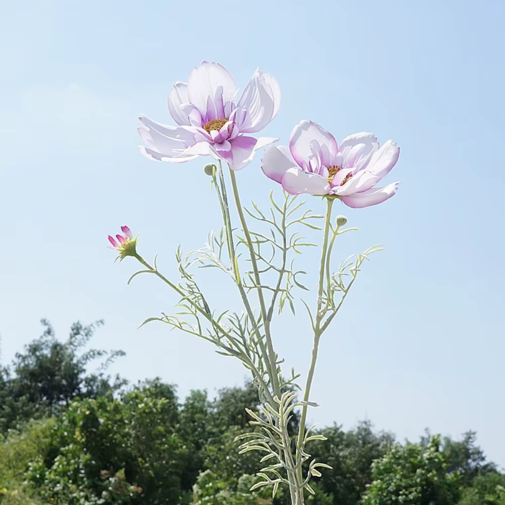 Branche de fleur artificielle Cosmos de 77 cm de longueur, design élégant, fleurs artificielles, fle