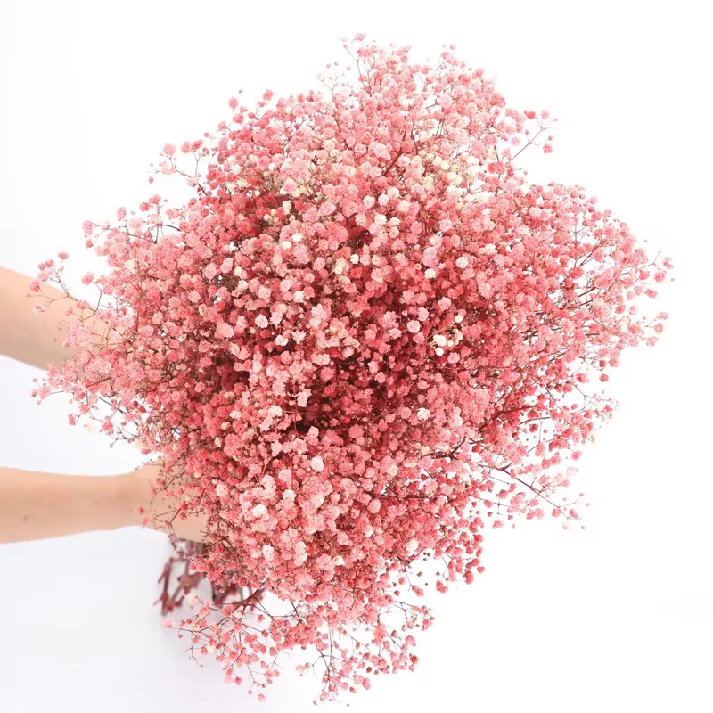 Bouquets de fleurs séchées Gypsophila fraîches naturelles conservées, 120g/450g, souffle de bébé, ca