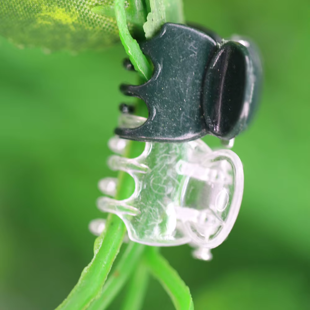 Clips de Support de plante en plastique, 10 à 200 pièces, pour tige d'orchidée, pour Support de vign