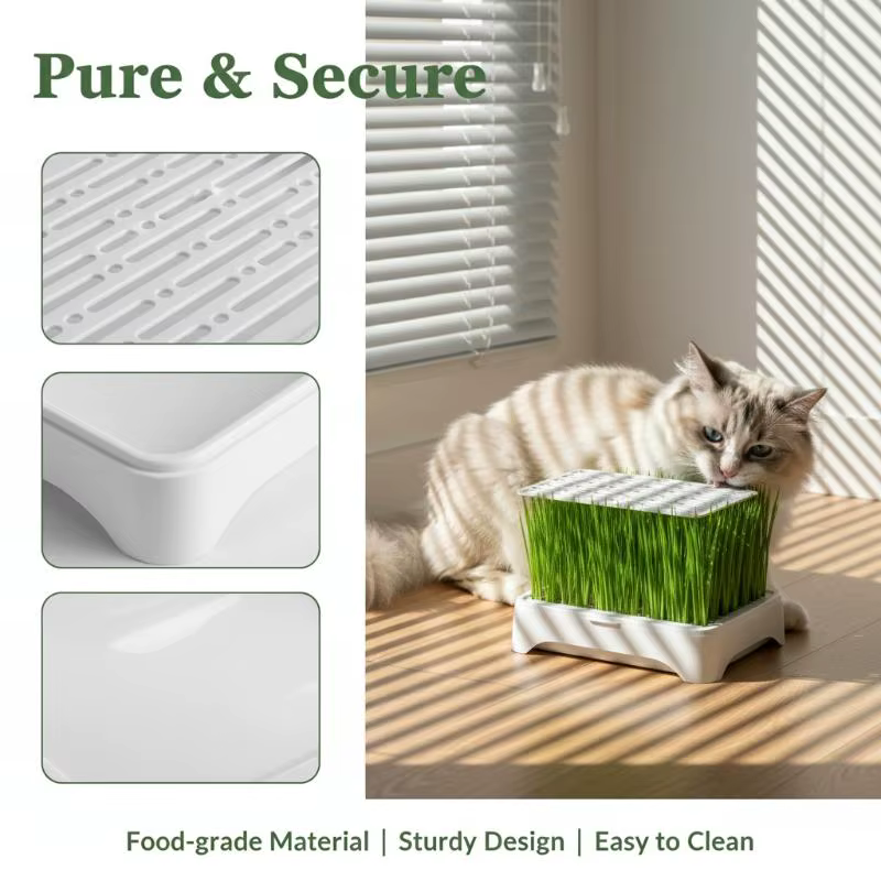 Pot de culture hydroponique pour herbe à chat, culture sans terre, pot de semis de blé, dispositif h