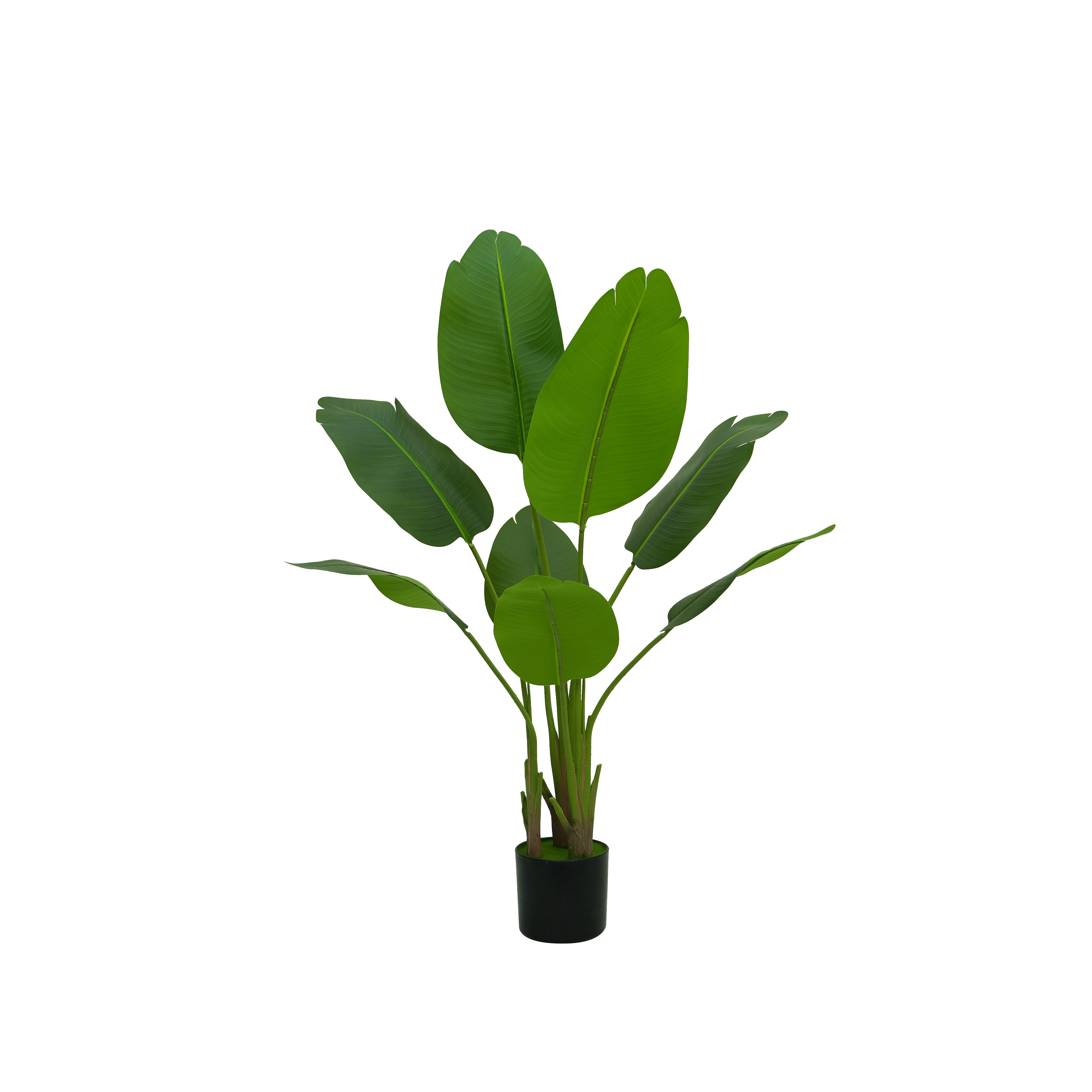 Plante artificielle grande taille Oiseau de paradis 120-220cm, Strelitzia réaliste en pot, verdure t