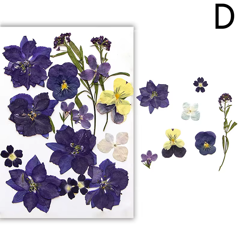 Fleurs séchées véritable plante naturelle pressée fleur pour résine époxy remplissage bricolage Nail