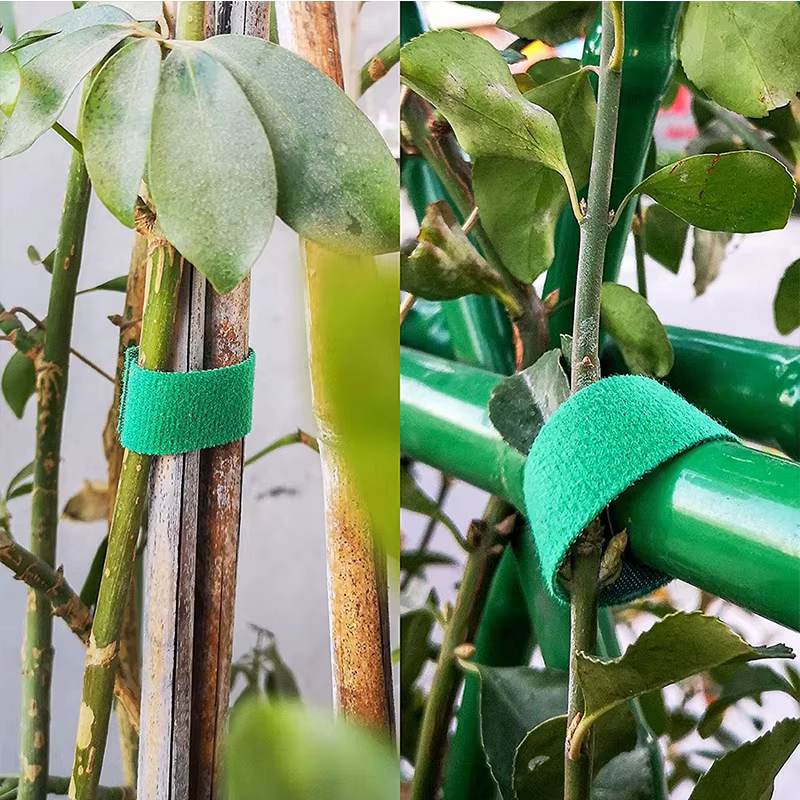 3 rouleaux de ficelle de jardin verte, attaches pour plantes, Bandage pour plantes en Nylon, boucle
