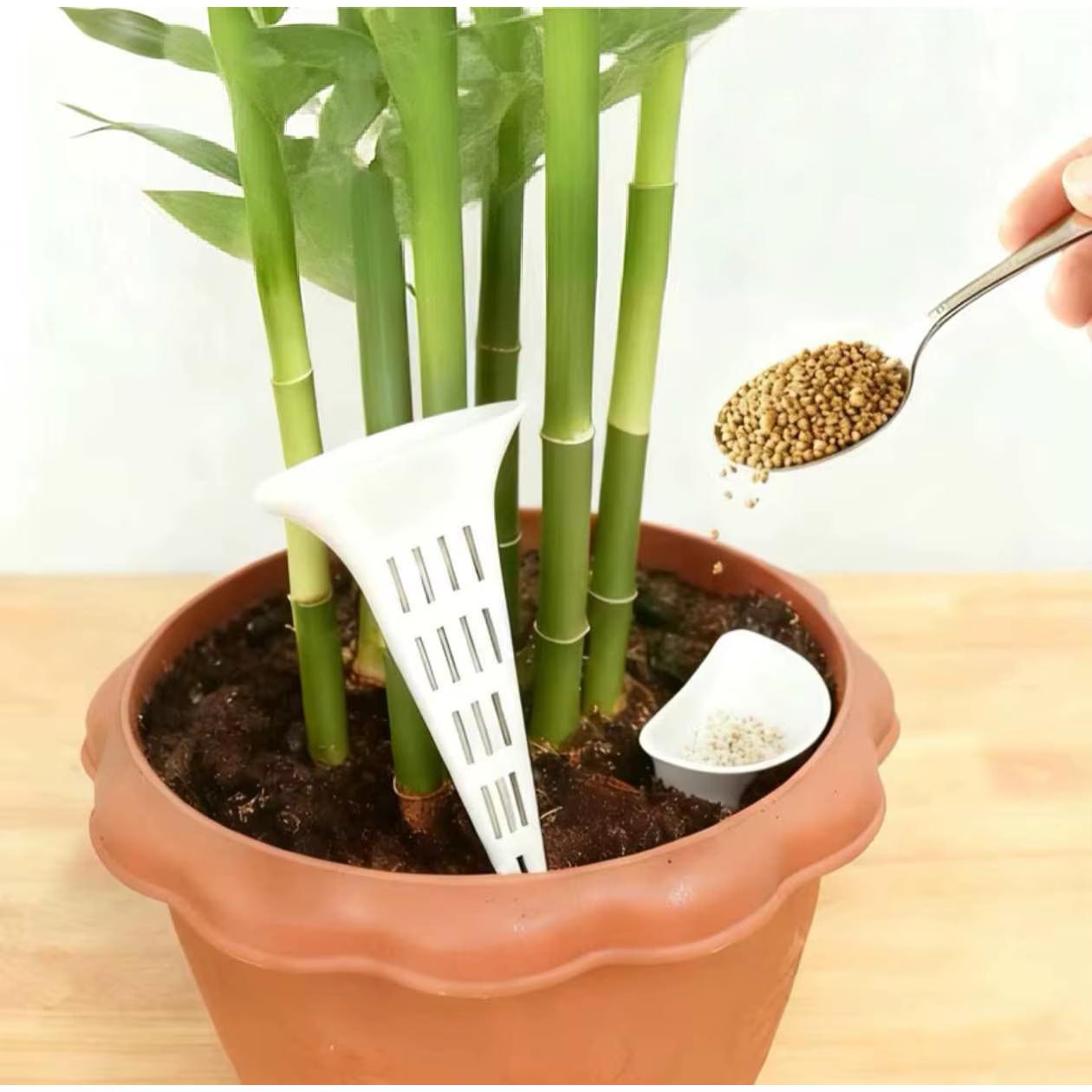 Dispositif d'arrosage respirant pour plantes coniques, 6 pièces, fond de bonsaï de jardin, plante de