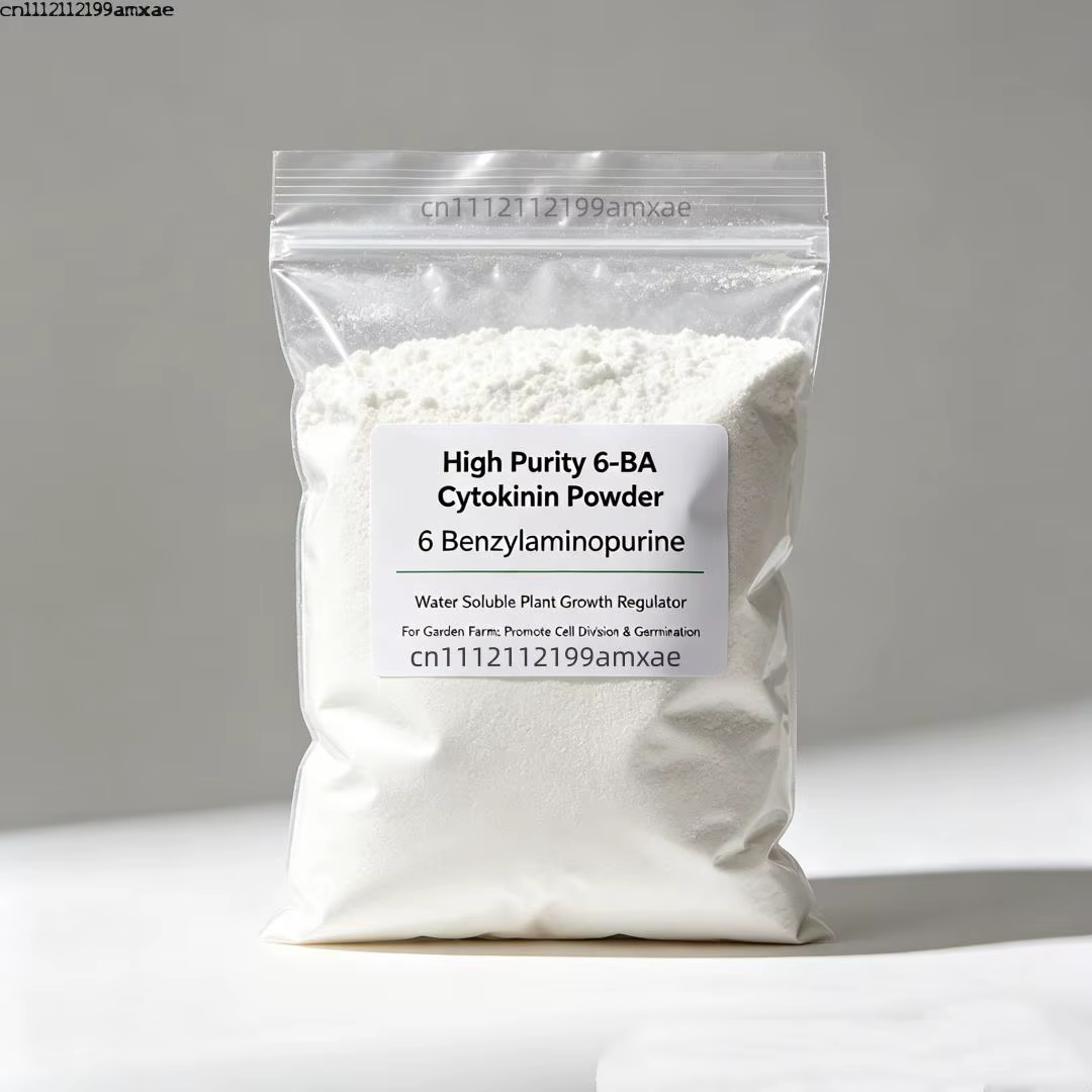 Poudre de Cytokinine 6-BA (6-Benzylaminopurine) Régulateur de Croissance Végétale pour Jardin et Fer