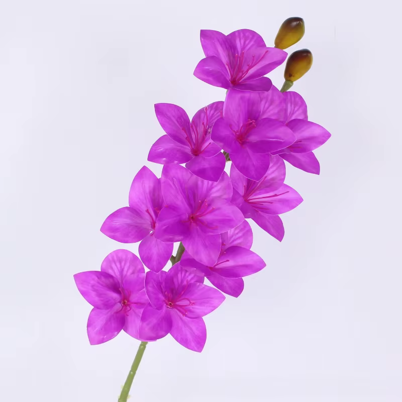 6 pièces de fausses fleurs de Bauhinia en PU, toucher réel, pour décoration de fête et de festival, 