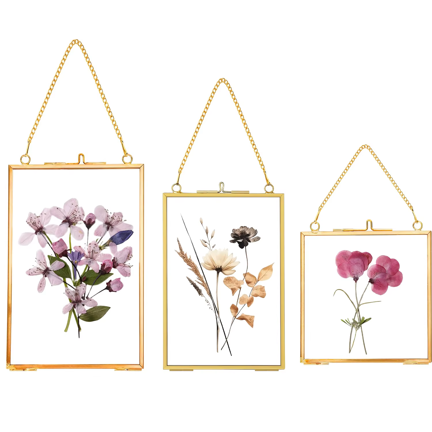 Cadres de fleurs pressés suspendus, cadre photo flottant en verre Double fait à la main, cadre en ve