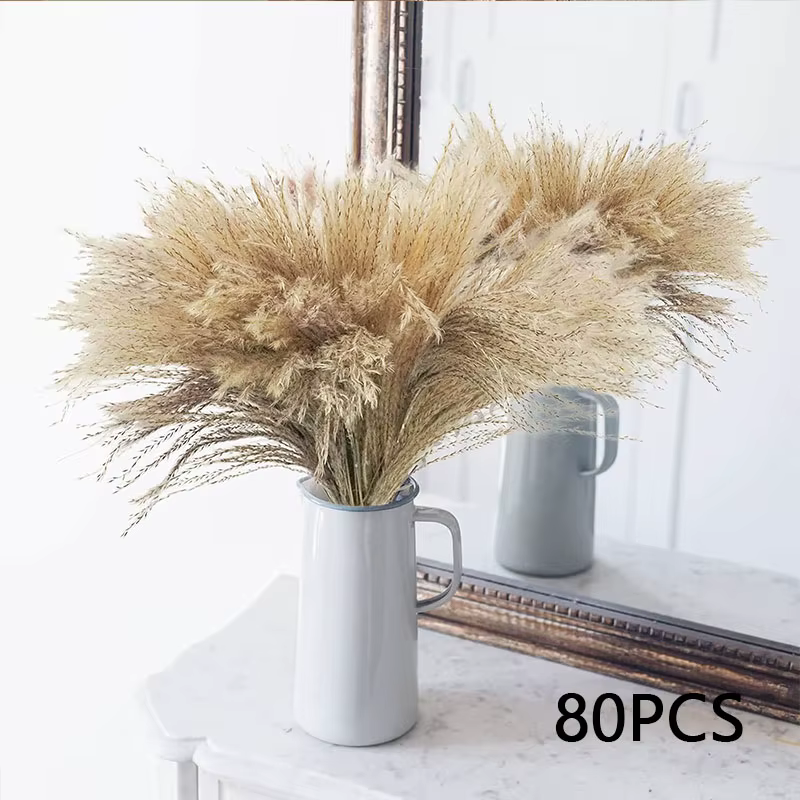 Moelleux Pampas fleurs séchées queues de lapin naturelles herbe décor festif maison mariage fleur ar