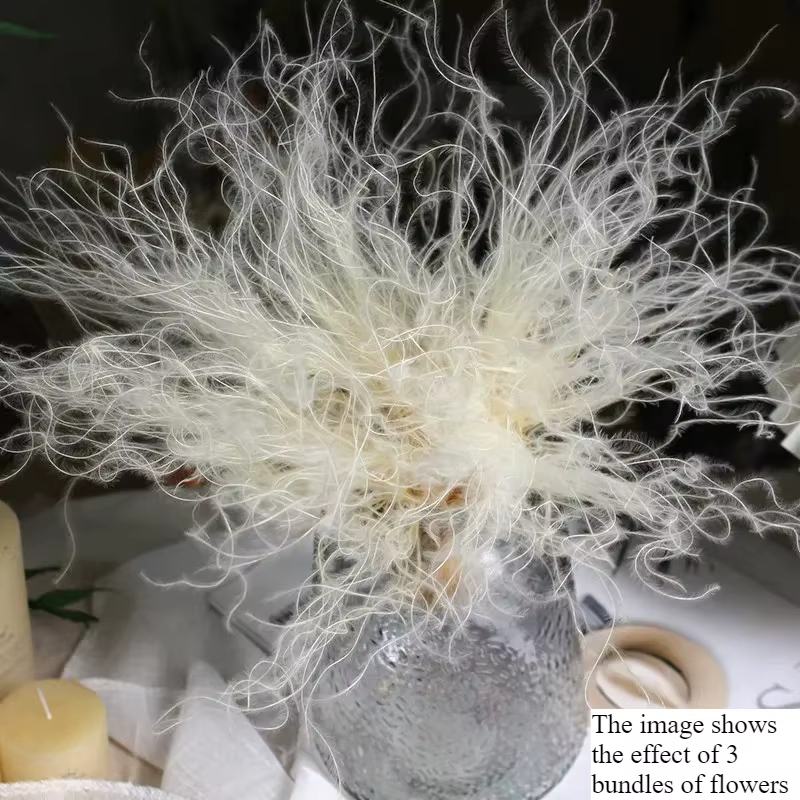 Herbe à plumes séchées - Fleurs naturelles séchées pour décoration de mariage, artisanat floral DIY,