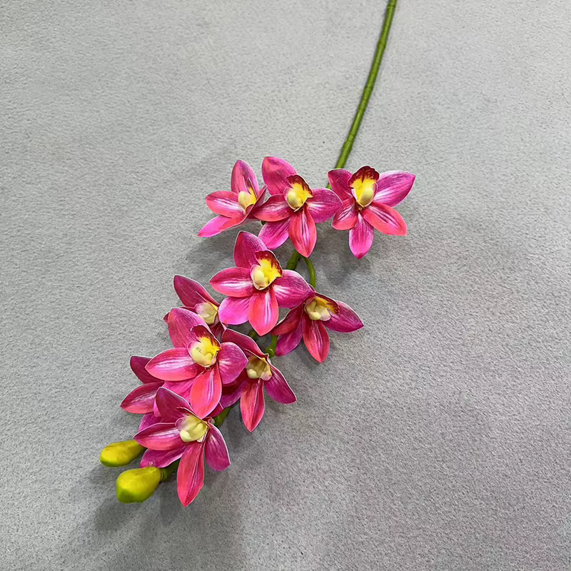 Cymbidium artificiel Hookerianum 10 têtes simulé Vanda Cymbidium Tropical Phalaenopsis tigre orchidé