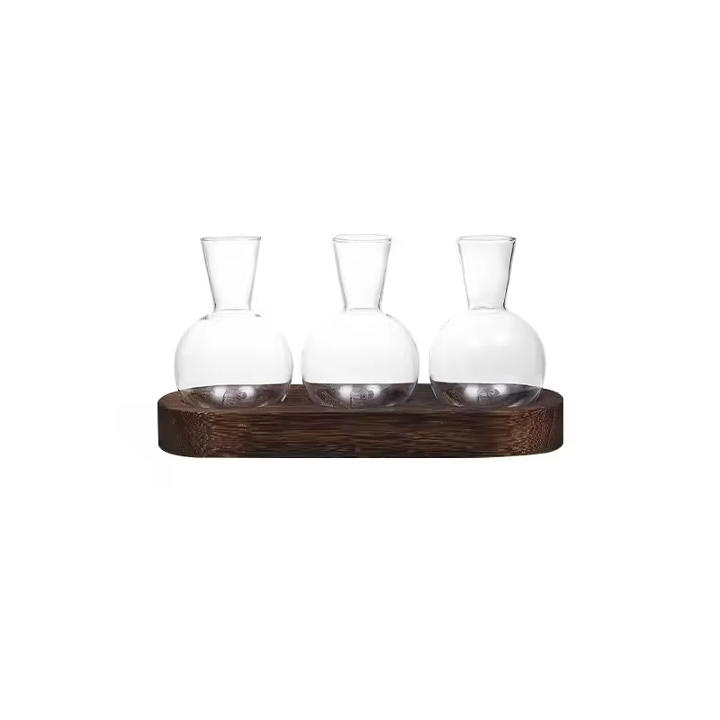 Terrarium en verre pour plantes avec plateau en bois – Pour la propagation hydroponique en intérieur
