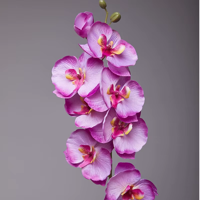 Fleurs d'orchidées papillon artificielles, 70CM, 8 têtes, fausses plantes en soie pour Bouquet de ma