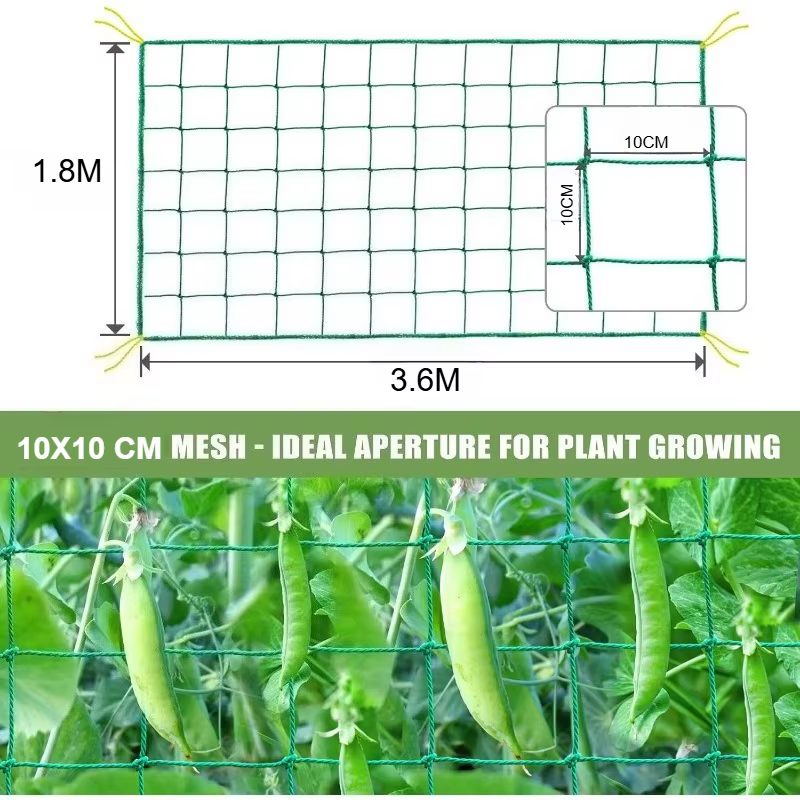 Grillage de treillis robuste pour plantes grimpantes d'extérieur, grilles de jardin, grilles carrées