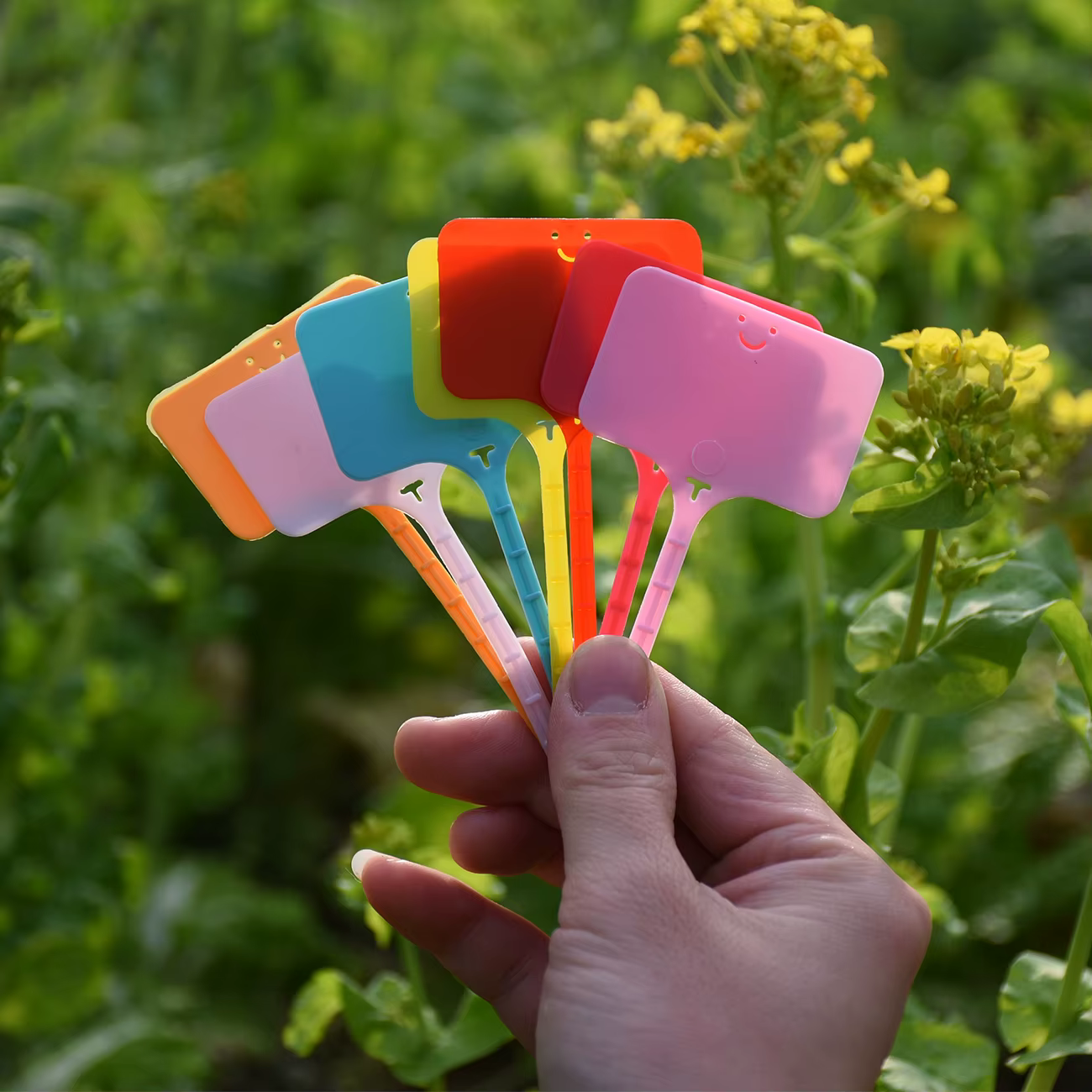 Étiquettes de plantes réutilisables et imperméables pour jardin, 30 à 100 pièces, étiquettes de sign