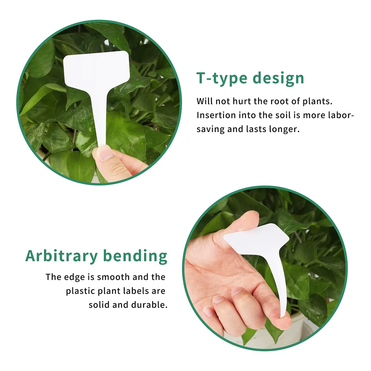 Marqueurs de plantes blancs en forme de T en Pvc, 100 pièces, étiquette de sol de jardinage en pot d
