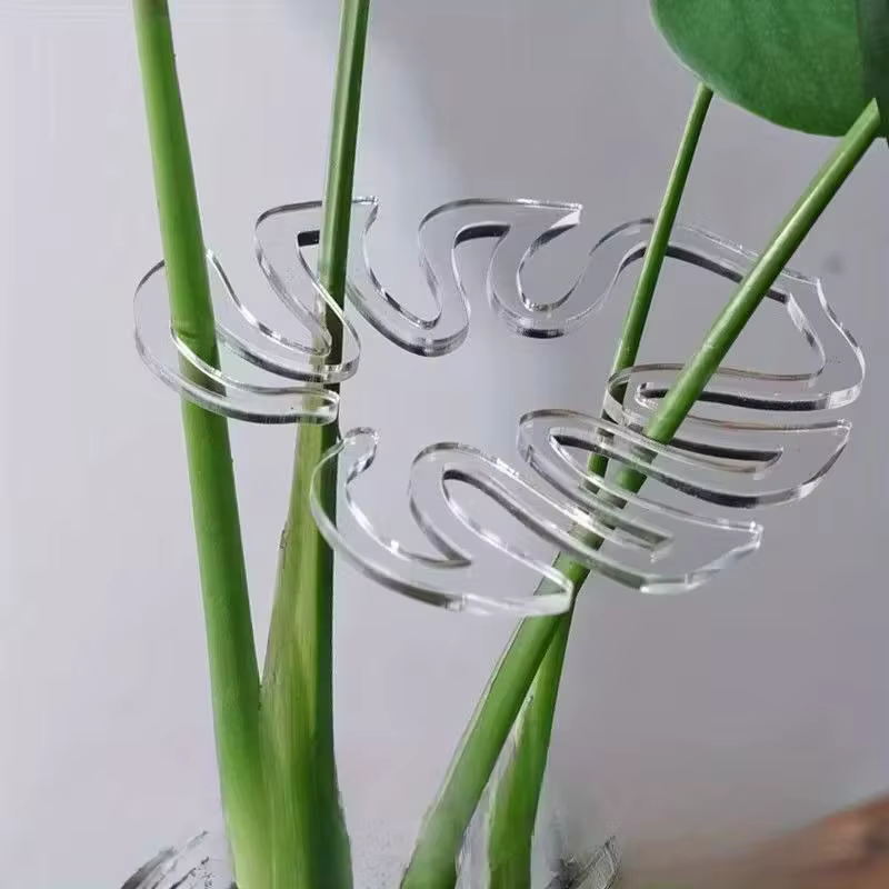 Lot de 10 pinces de support de plantes transparentes et flexibles - Pinces de jardin réglables avec 