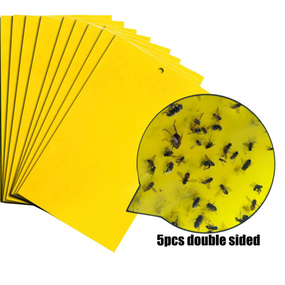 Piège collant double face pour insectes, anti-pucerons, mouches et autres insectes, pour jardin et f