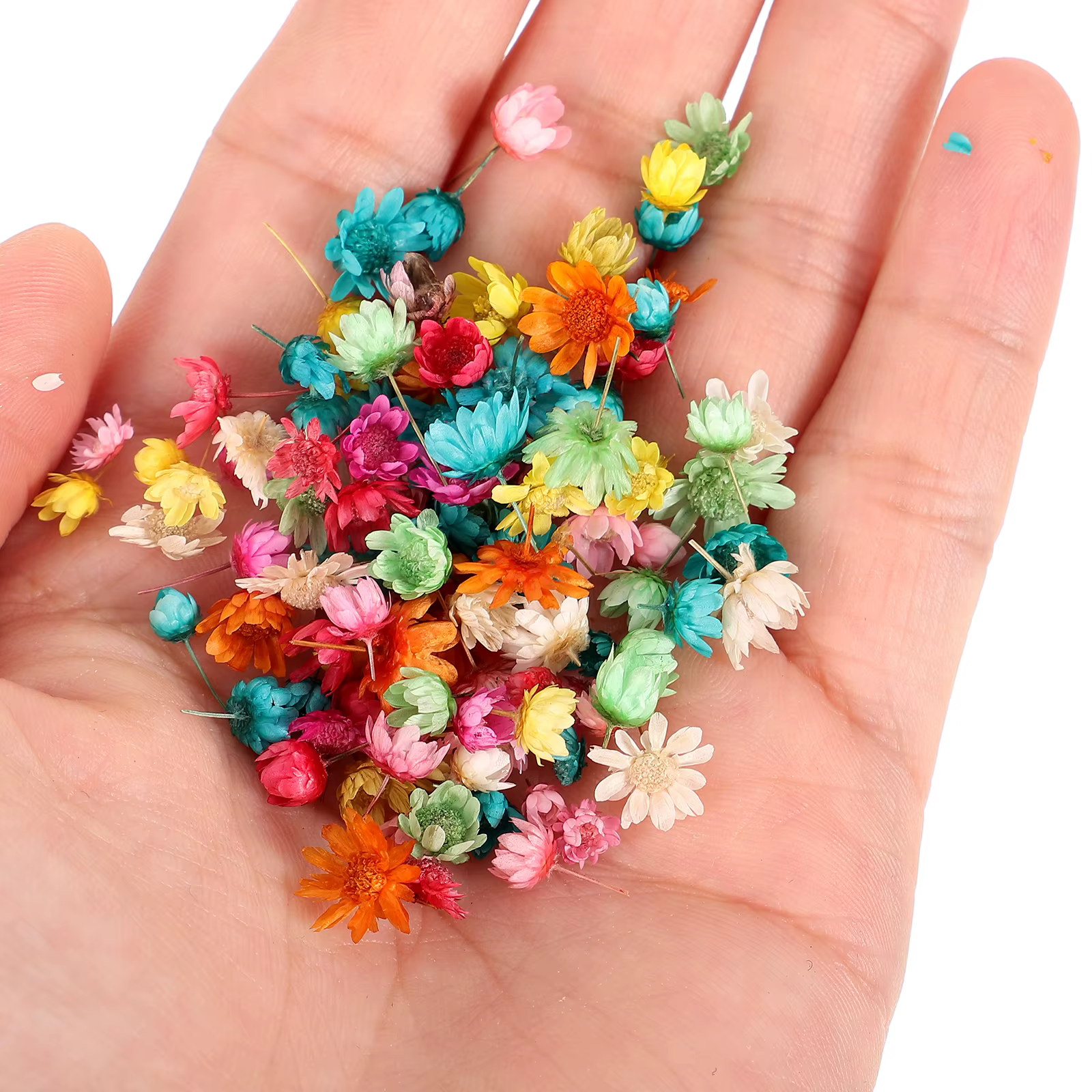 1 sac de fleurs séchées pour bricolage, artisanat en résine, décorations de coque de téléphone, maté